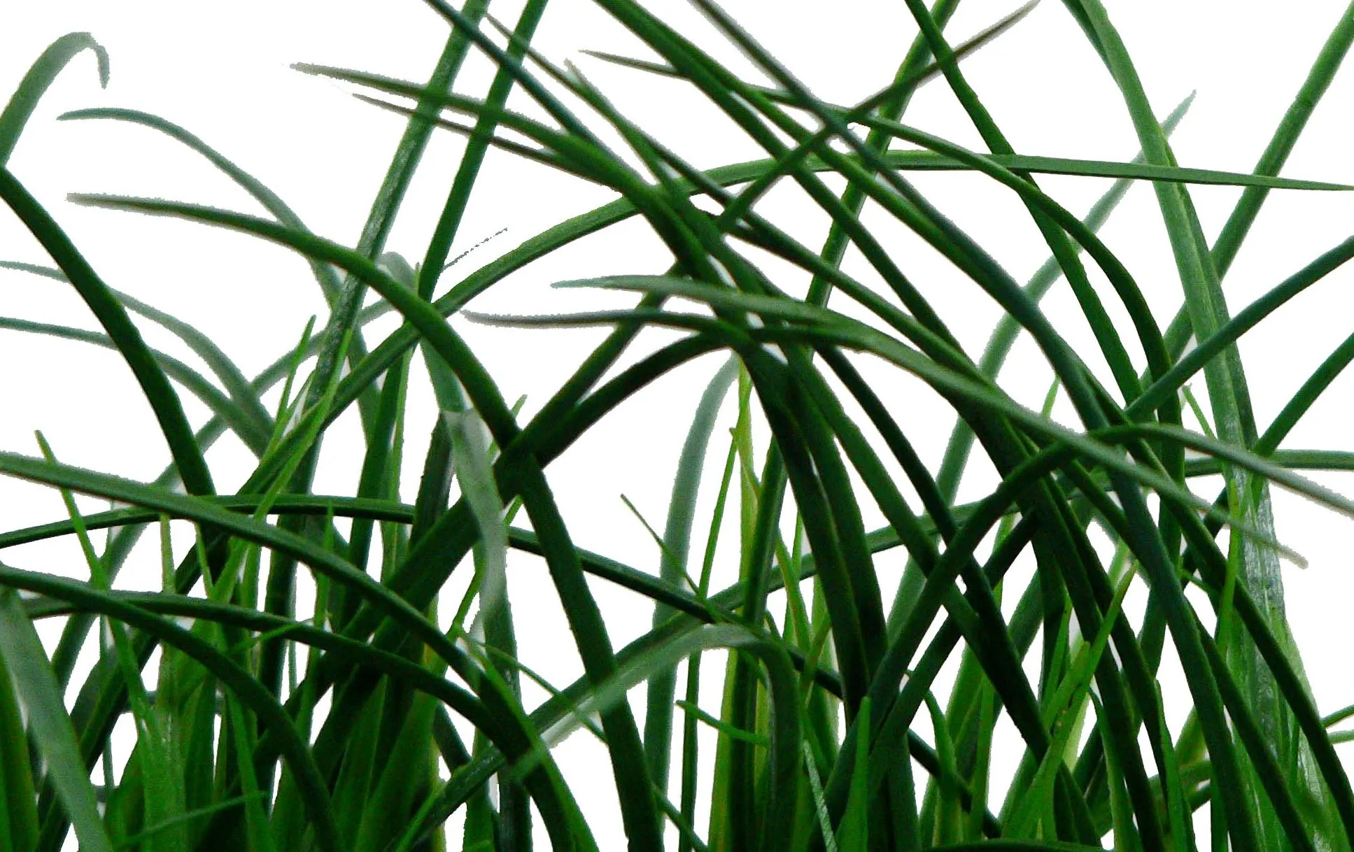 14" Faux Grass in Rectangular Wood-Like Planter by Vintage Home