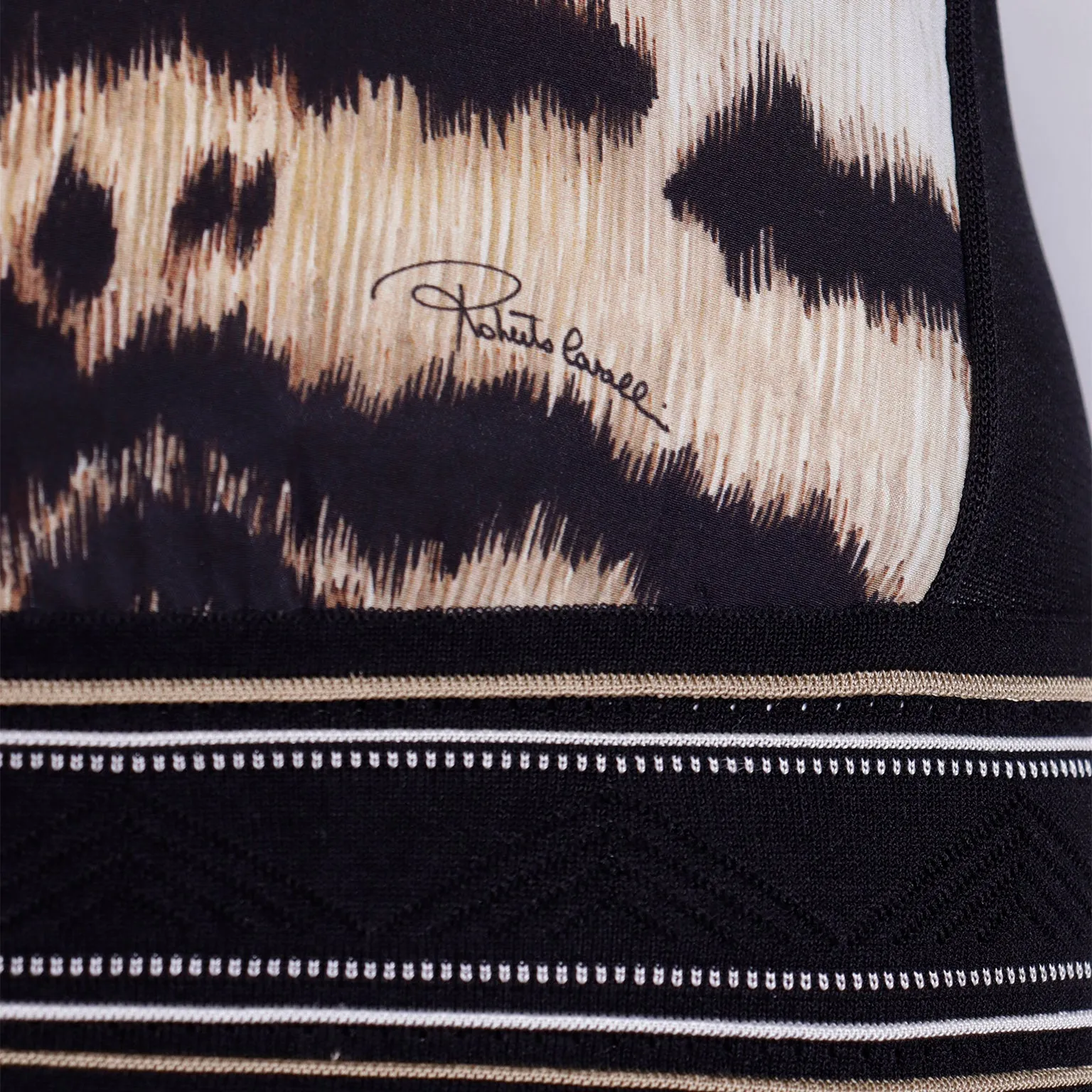 2000s Roberto Cavalli Silk Animal Print Tennis Style Drop Waist Dress