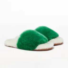 Amazon Green Slider