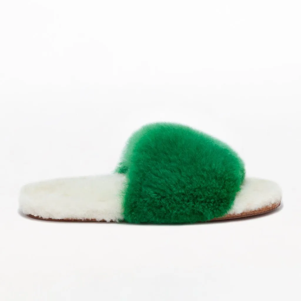 Amazon Green Slider