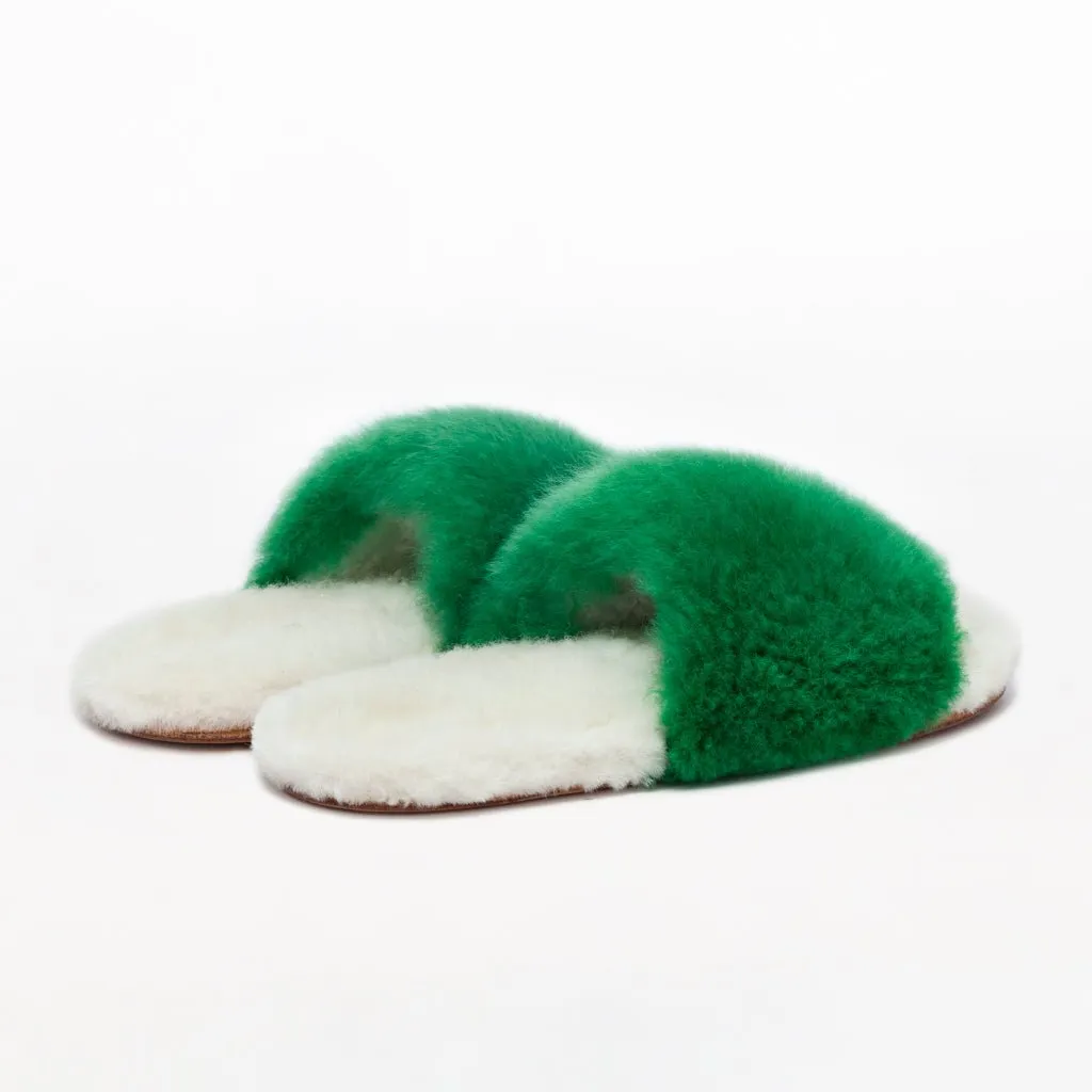 Amazon Green Slider