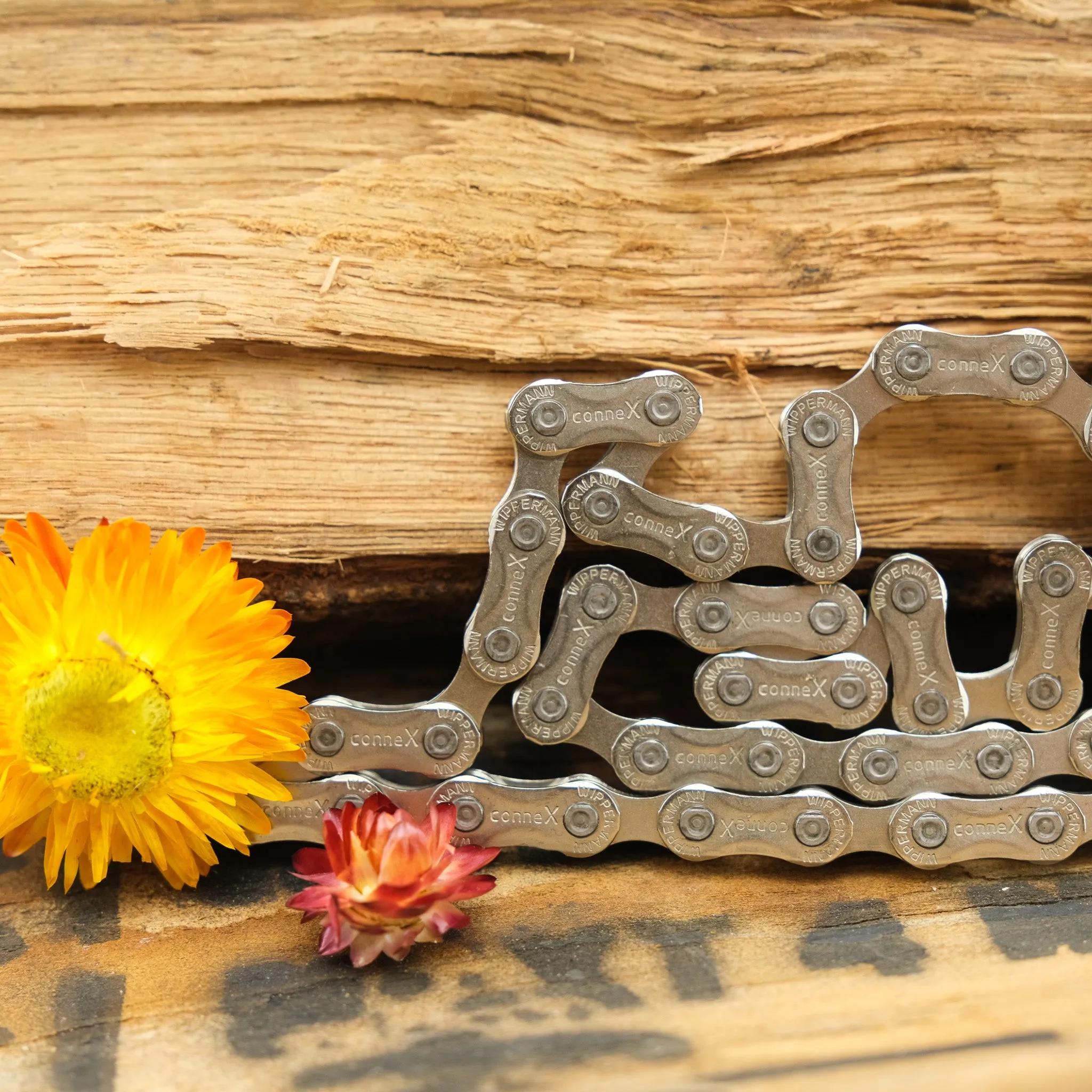 Connex Chains
