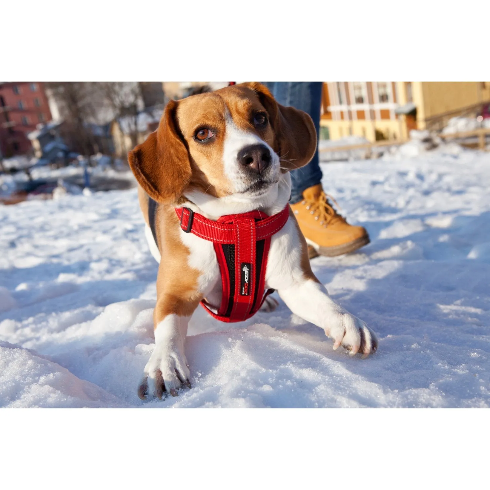 EzyDog Chestplate Dog Harness Red Large