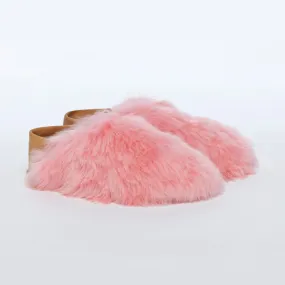 Pink Express