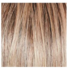 RAQUEL WELCH - GO ALL OUT 10″ TOP HAIR PIECE