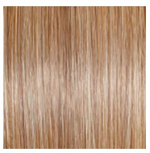 RAQUEL WELCH - GO ALL OUT 10″ TOP HAIR PIECE