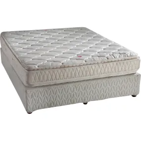 Springwel Mattress Pillow Top with Soft Foam