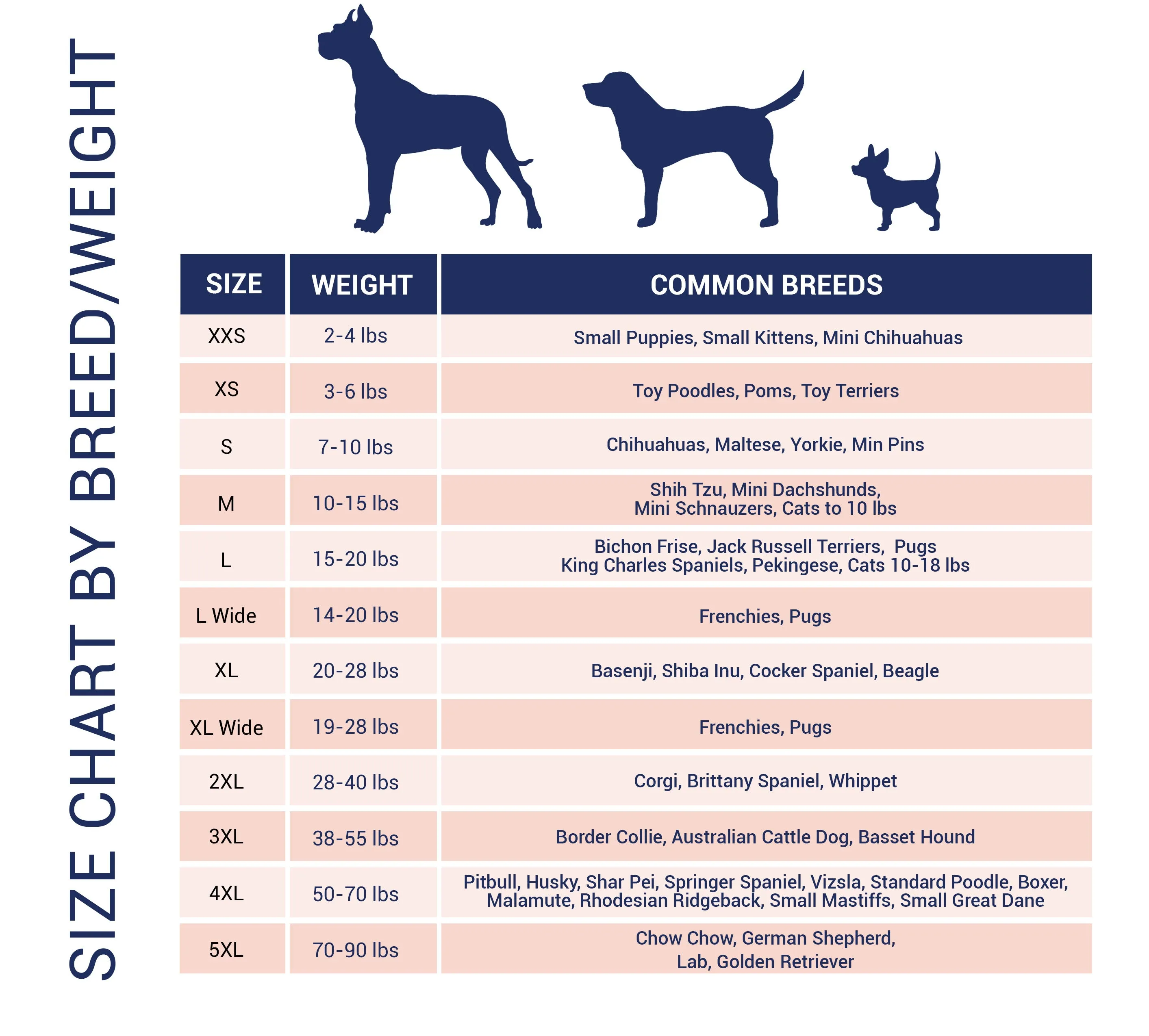 Voting Ballet Personalized Dog Tee
